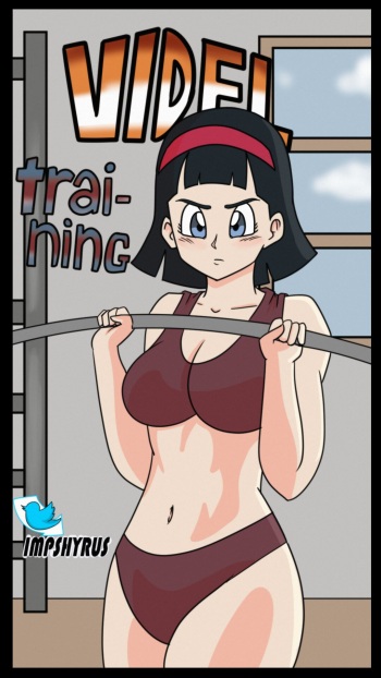 Videl Training cover