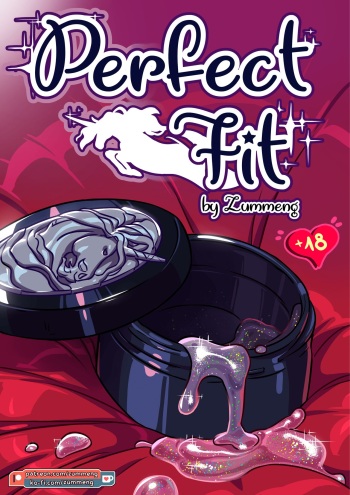 Perfect Fit cover