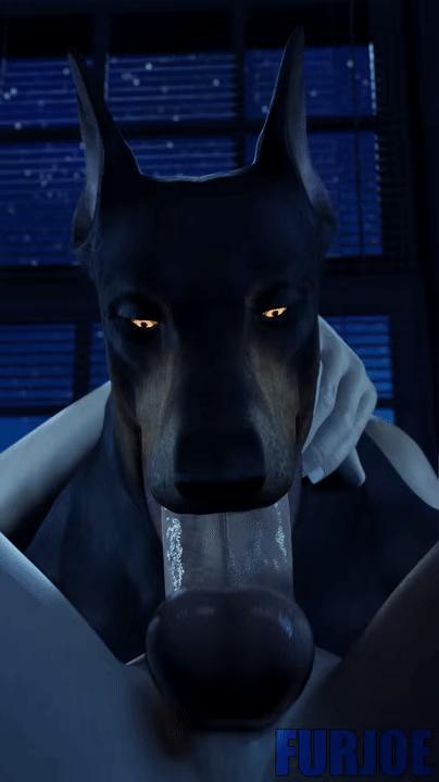 Each Gif Is A Different Slut That Furjoe0 Impregnated page 1 full