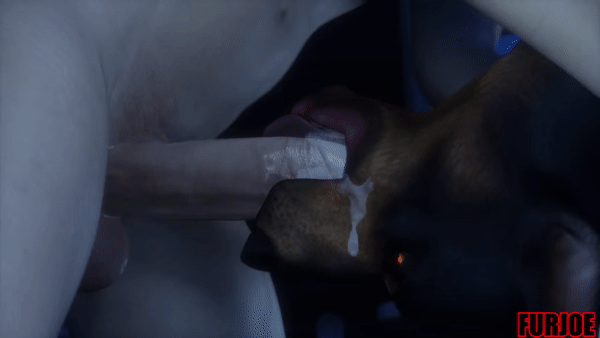 Each Gif Is A Different Slut That Furjoe0 Impregnated page 4 full