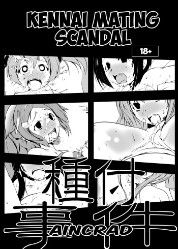 Suitekiya_Suiteki-ka_Yu-minKennai_Mating_Scandal_1_Einclad_2_Fairy_Dance_SAO_The_Complete_Sword_Art_Online cover