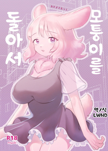 Kado o Magatte | 모퉁이를 돌아서 cover