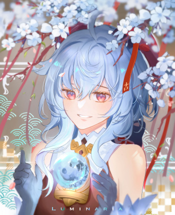 Luminaria cover