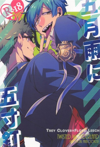 Samidare ni Gosunkugi cover