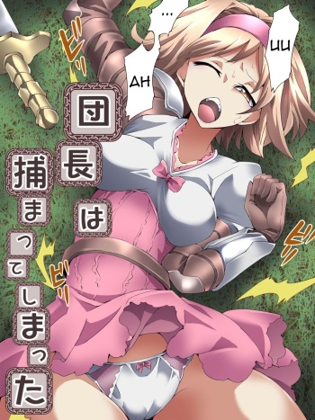 Danchou wa Tsukamatte Shimatta cover