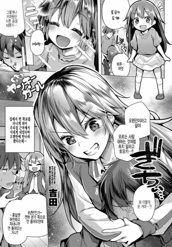 Junjou Yankee Girl cover