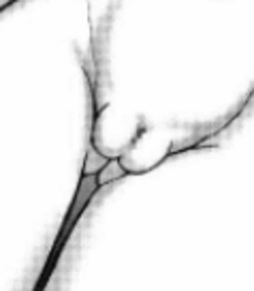 Hentai Pussy Gallery page 6 full