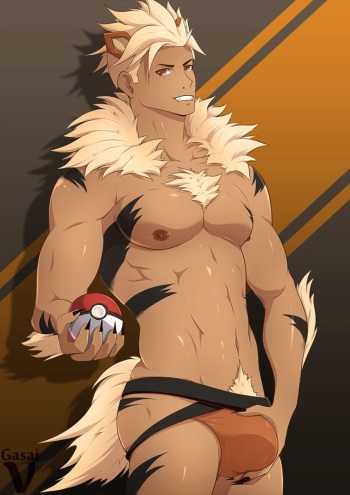 Arcanine cover