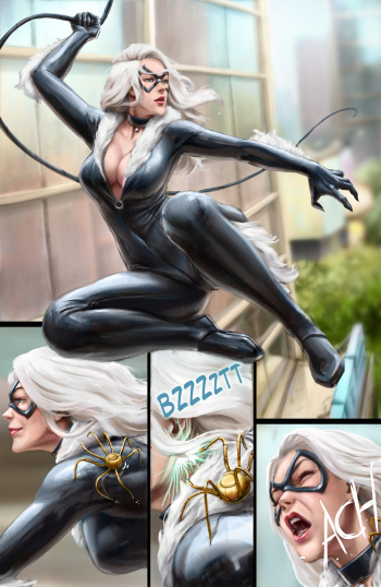 : The Superior Blackcat!? cover