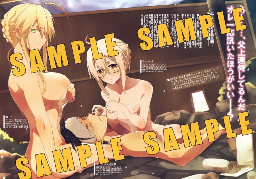 sa mple page 3 full