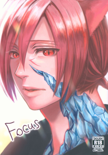 Focus cover