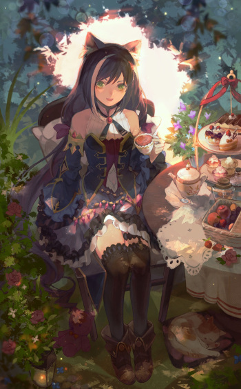 Princess Connect! Re:Dive Kyaru Collection cover