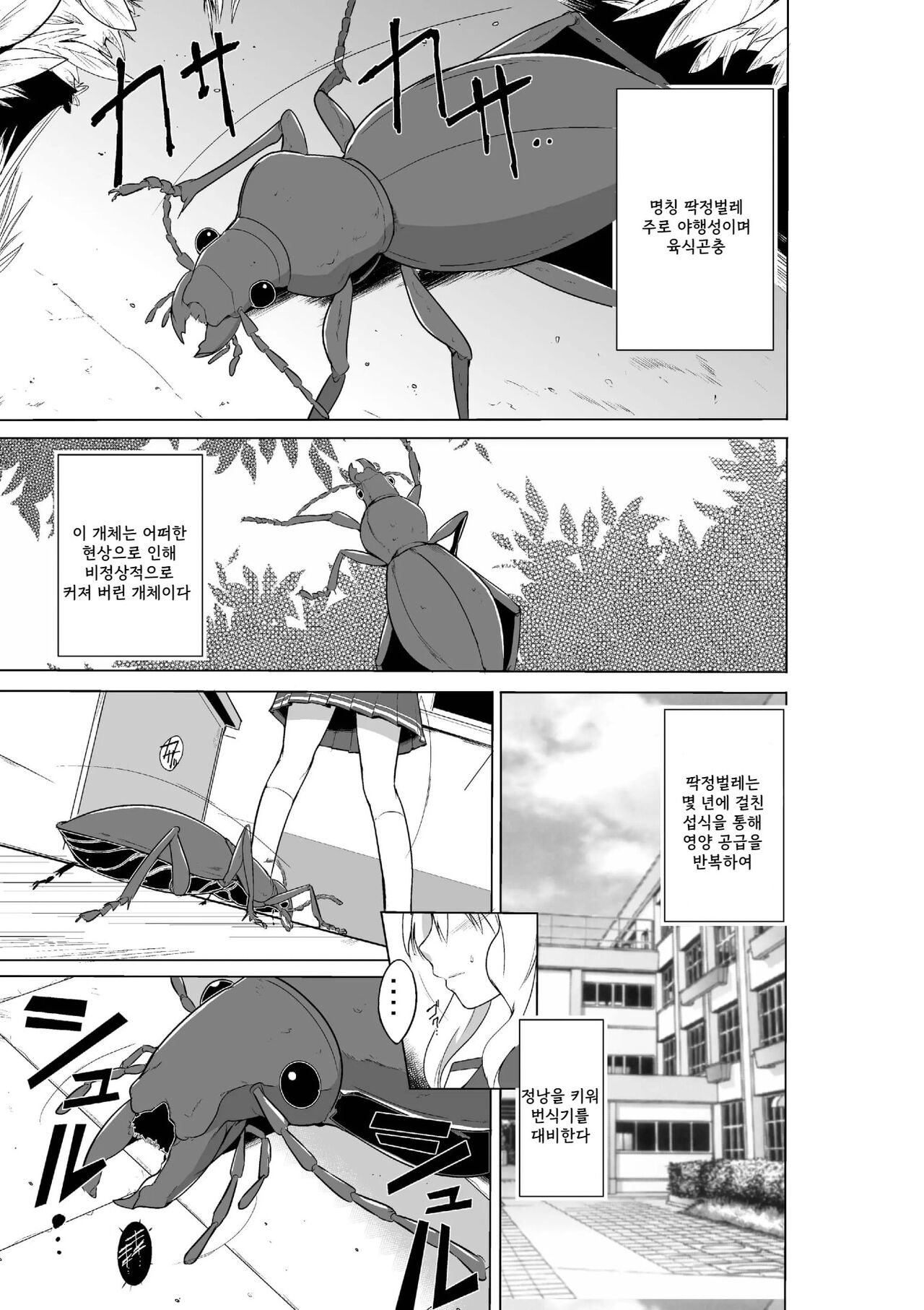 Sasara no Mushiasobi | 사사라의 벌레유희 page 1 full