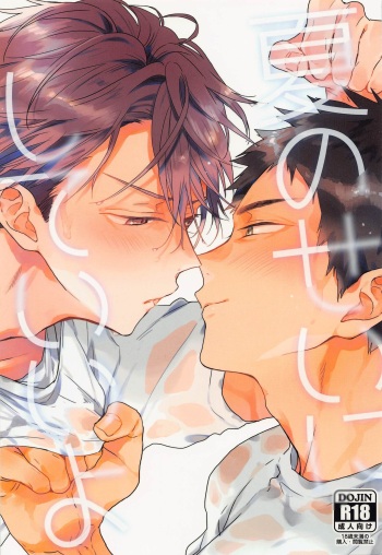 Natsu no Sei ni Shite Ii yo cover