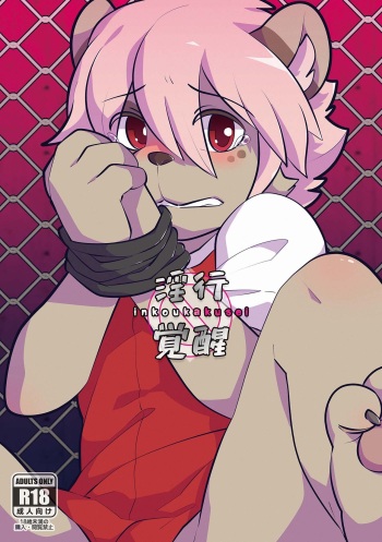 Inkoukakusei cover