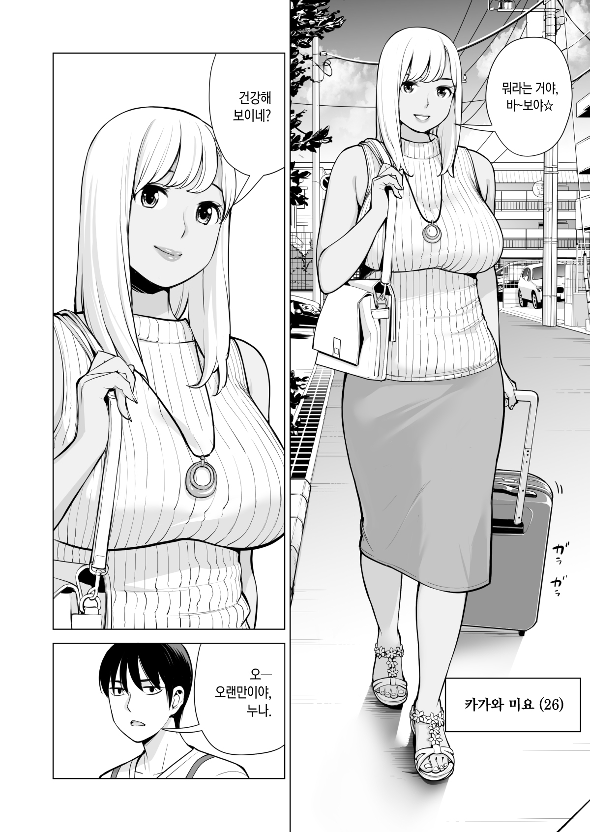 Nureane ~Batsuichi no Ane to Sex o Shita Natsu no Yoru~ | 젖은 누나 ~돌싱 누나와 SEX를 한 여름밤~ page 9 full
