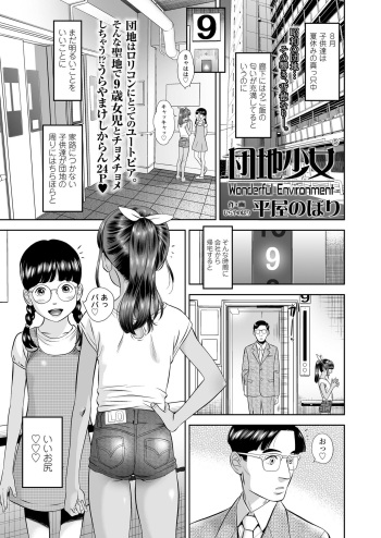 団地少女 Wonderful Environment ch.1-3 cover