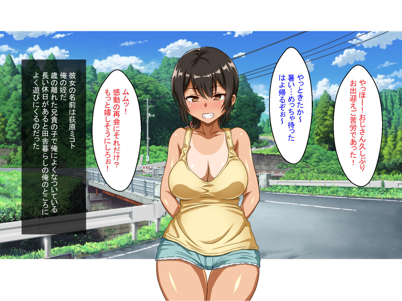 ど田舎の夏休みは発情した姪と汗ダク交尾するくらいしかヤルことがねぇ!! page 3 full