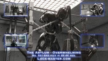 The Asylum 5 cover