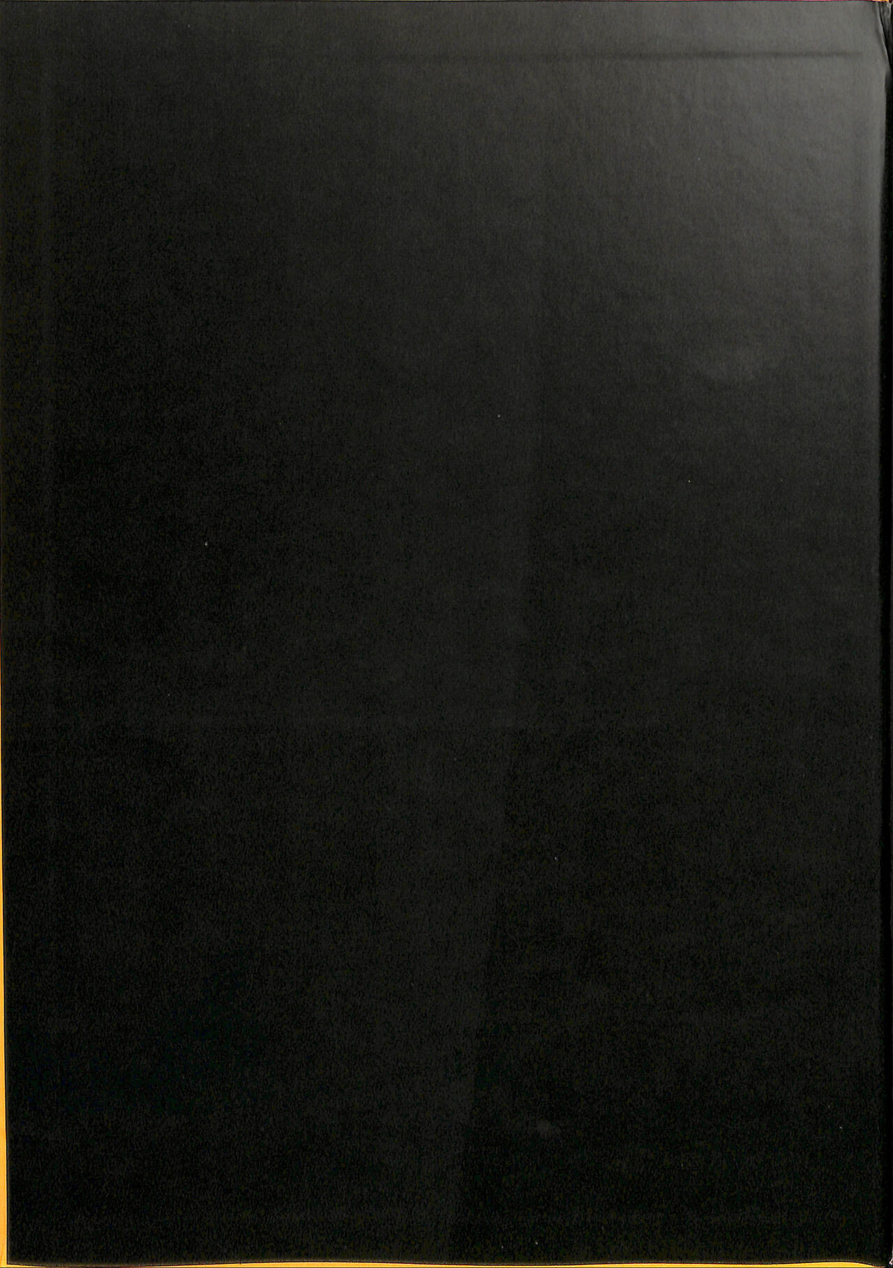 El brillo del gato negro page 2 full