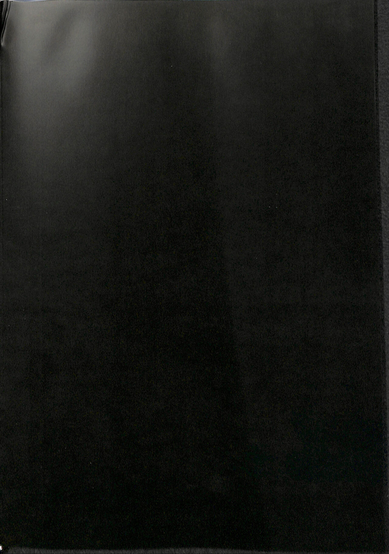 El brillo del gato negro page 3 full