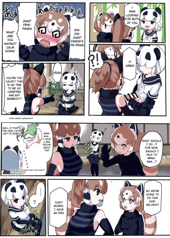 Panda Harem cover