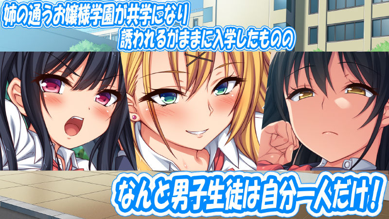 Ojou-sama Gakuen ni Danshi Hitori Zetsurin Chinpo de Tomodachi 100-nin Dekiru kana? page 2 full
