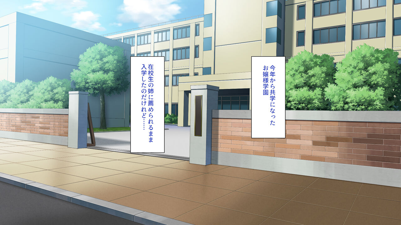 Ojou-sama Gakuen ni Danshi Hitori Zetsurin Chinpo de Tomodachi 100-nin Dekiru kana? page 8 full