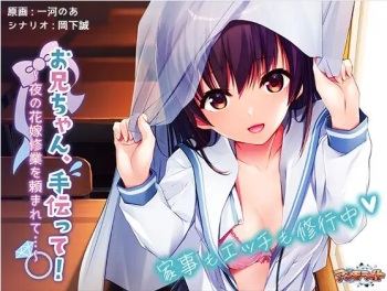 Onii-chan, Tetsudatte! ~Yoru no Hanayome Shuugyou o Tanomarete...~ cover