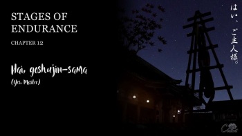Stages of Endurance - Chapter 12 Yes, Master cover