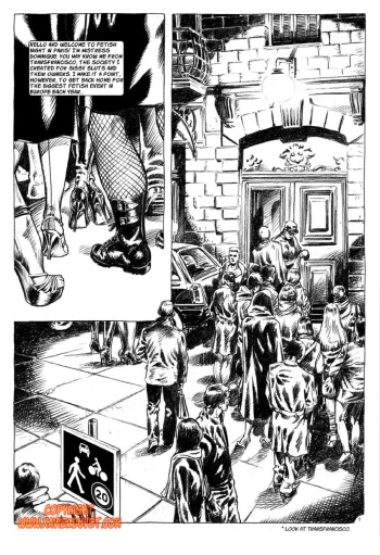 Transfrancisco In Paris cover