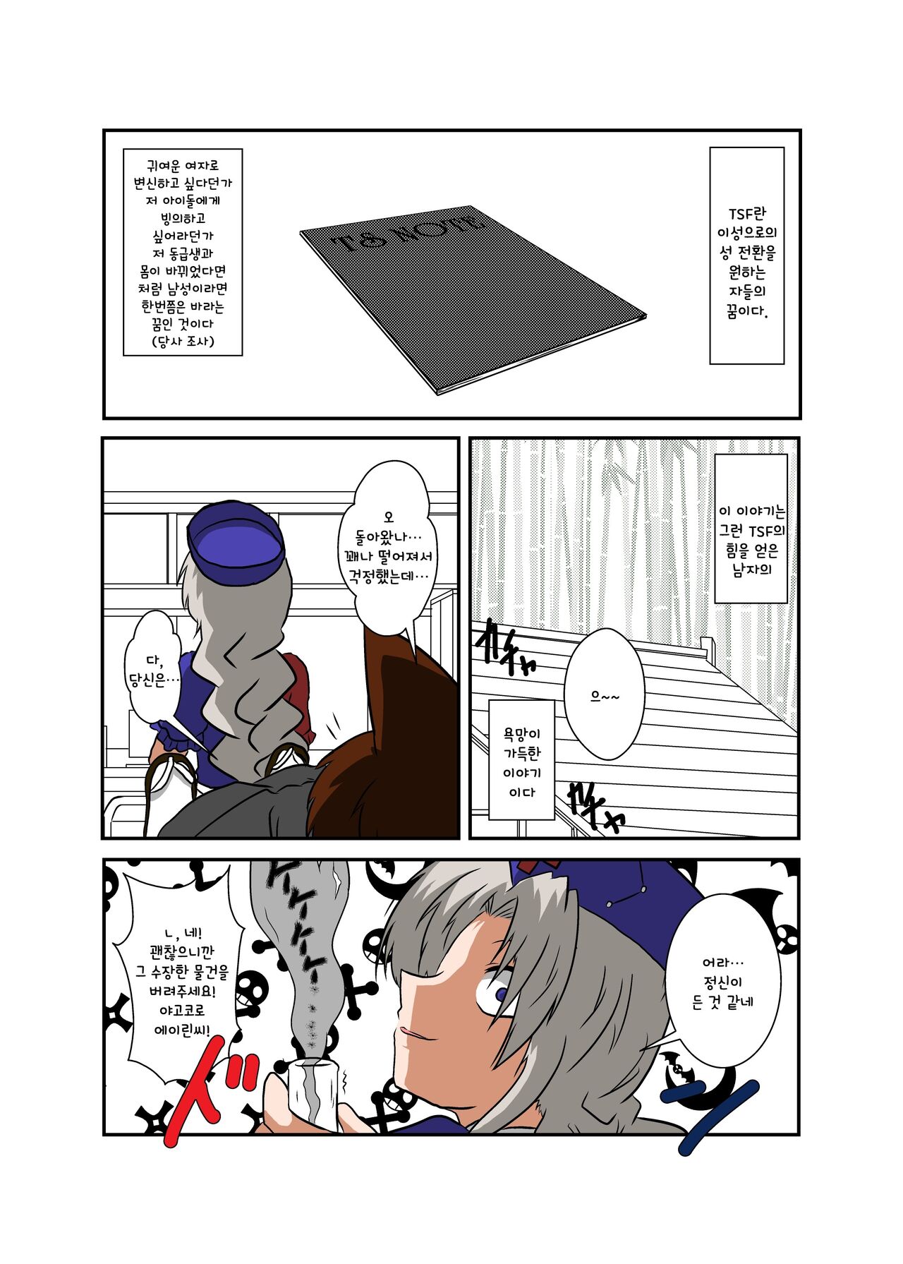 Touhou TS Monogatari ~Eirin Hen~ | 동방 TS 이야기 ~에이린편~ page 4 full