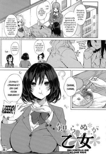 Shiranu ga Otome | Una doncella que no sabe nada cover