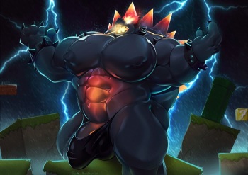 Fury Bowser cover