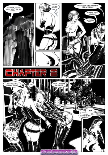 Black Flower 02 cover