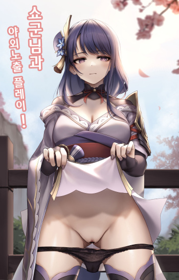 将軍様と野外露出プレイ ! cover