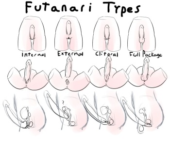 Futanari Anatomy cover