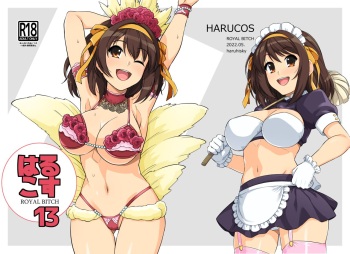 Harucos 13 cover