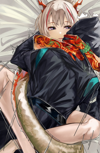 Nian cover