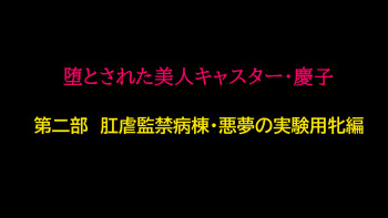 堕とされた美人キャスター・慶子 第二部 肛虐監禁病棟・悪夢の実験用牝編 cover