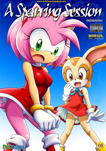 A Sparring Session | cover