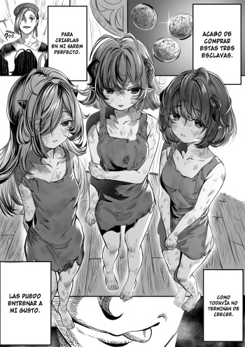 Dorei o Choukyou shite Harem Tsukuru | Entrenando esclavas para hacer un harem 1-7 cover
