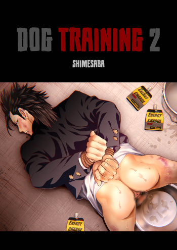 Dog Training 2 cover