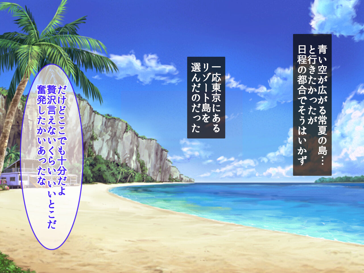 Sokupako Resort de Kyonyuu JK Gal-tachi to Yaritai Houdai Nakadashi Houdai! page 3 full