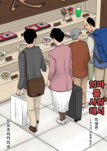 Haha ni Koishite Tokubetsu Hen -Tokai no Musuko o Tazunete- | 엄마 를 사랑 해서 특별편| -도시의 아들을 방문- cover