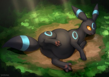 Shiny Umbreon Birth Sequence cover