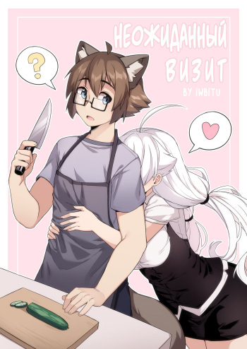 Surprise Visit cover