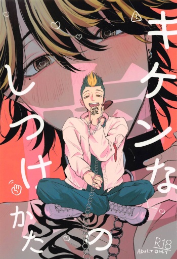 Kiken na Tora no Shitsukekata cover