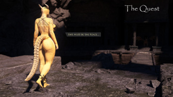 The Quest cover