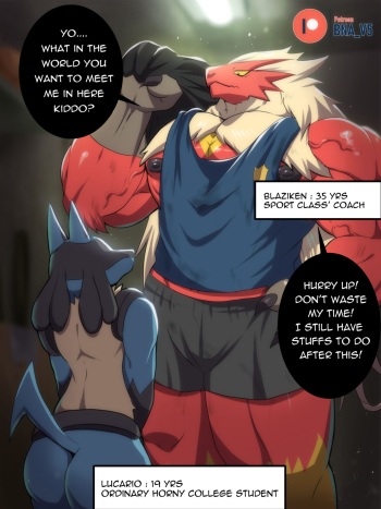 Lucario x Blaziken cover